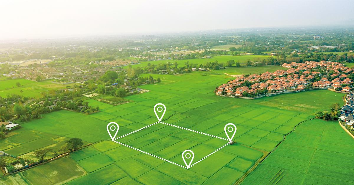 200 Sq Yd Plot Layout at Dholera Forest Ville Residency